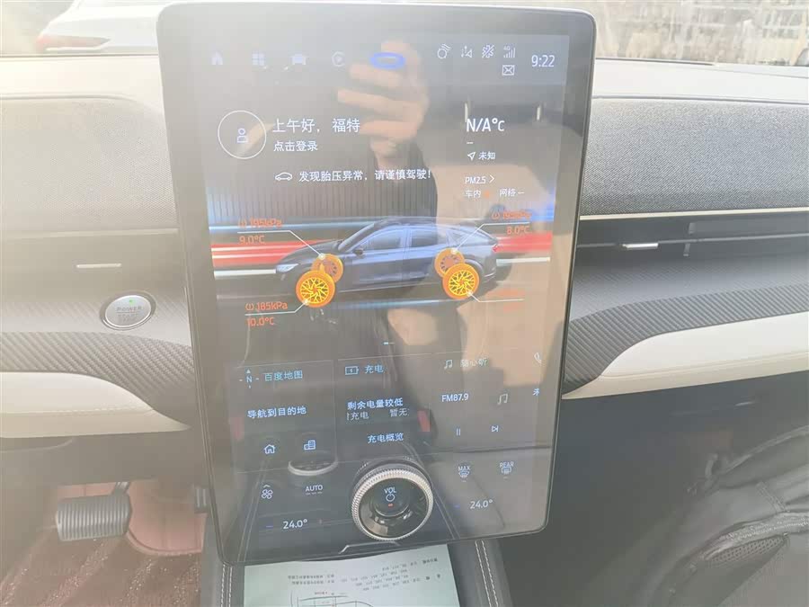 Ford Mustang Mach-E 2022 car image #14