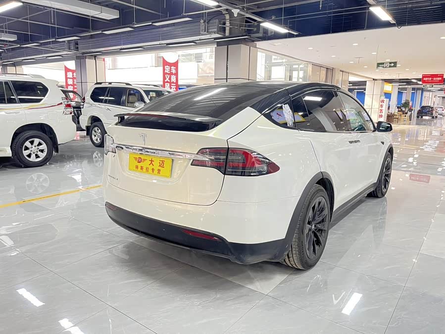 Tesla Model X 2018 car image #14