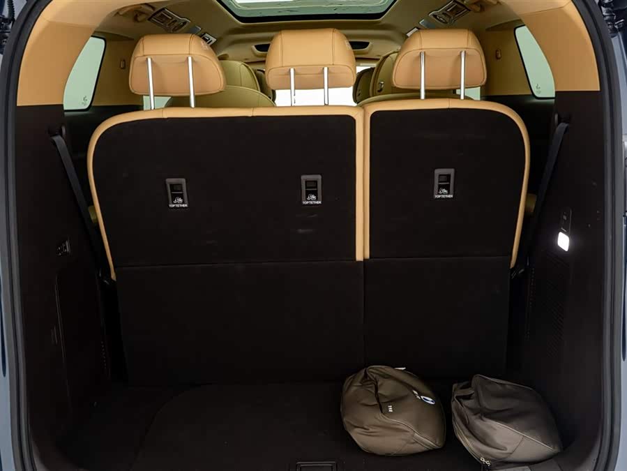 Denza D9 2025 car image #14