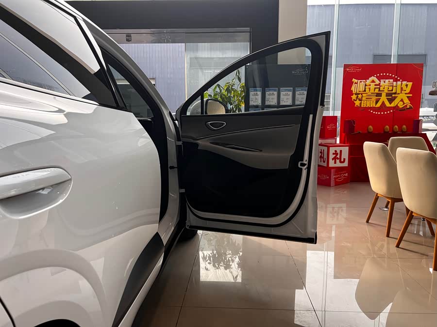 BYD Sea Lion 06 New Energy 2025 car image #14