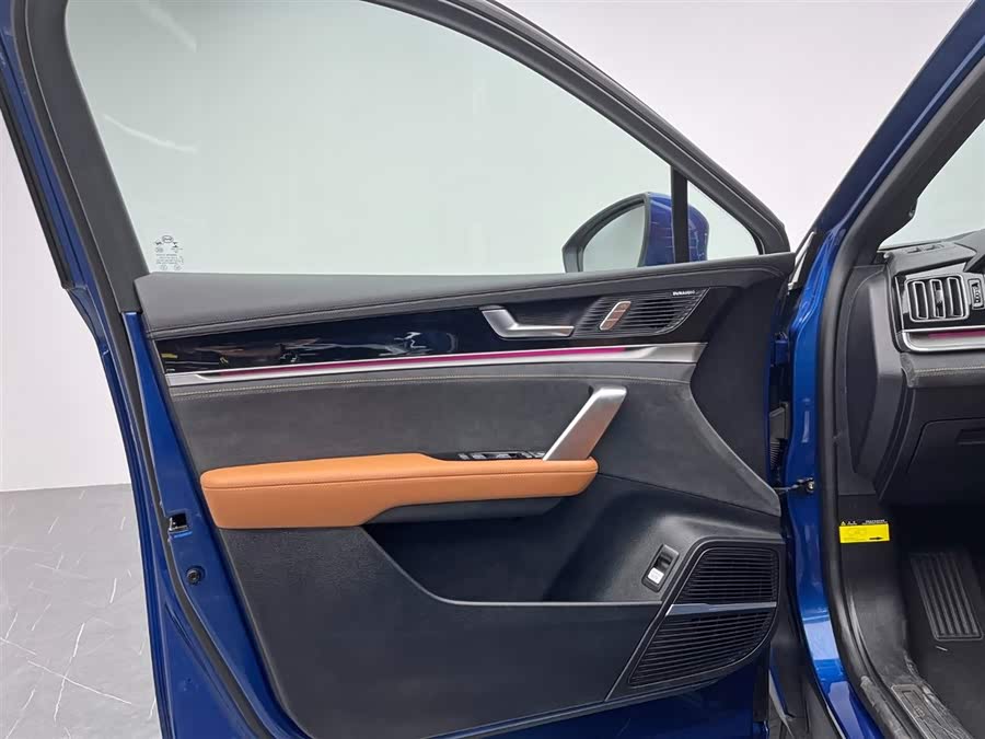 BYD Tang New Energy 2022 immagine di auto #14