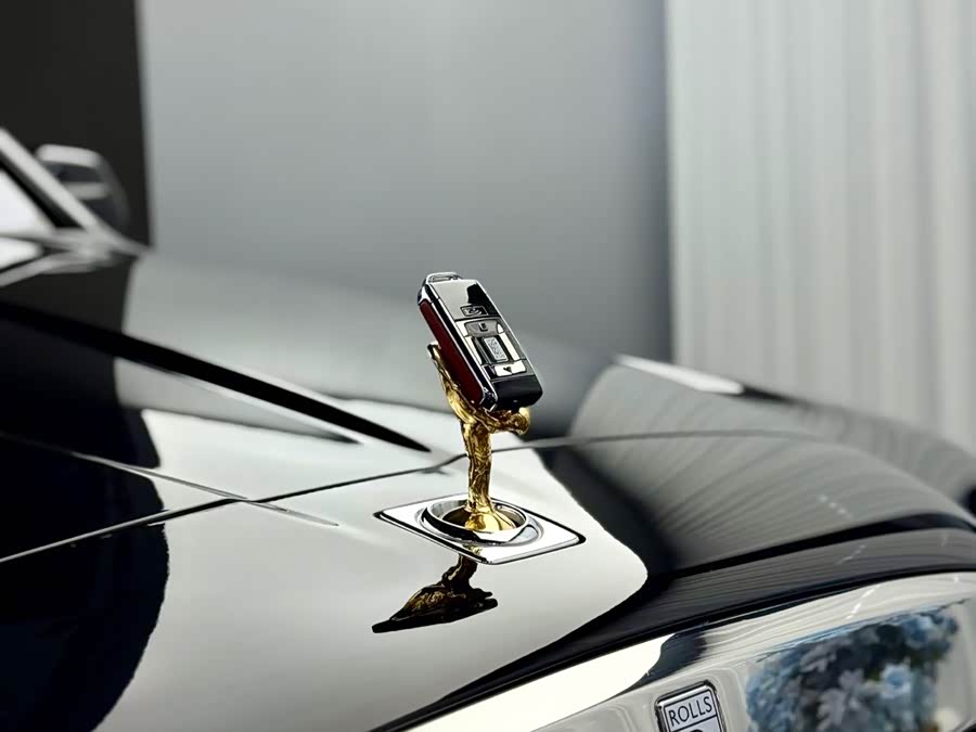 劳斯莱斯 库里南 2020 汽车图片 #14