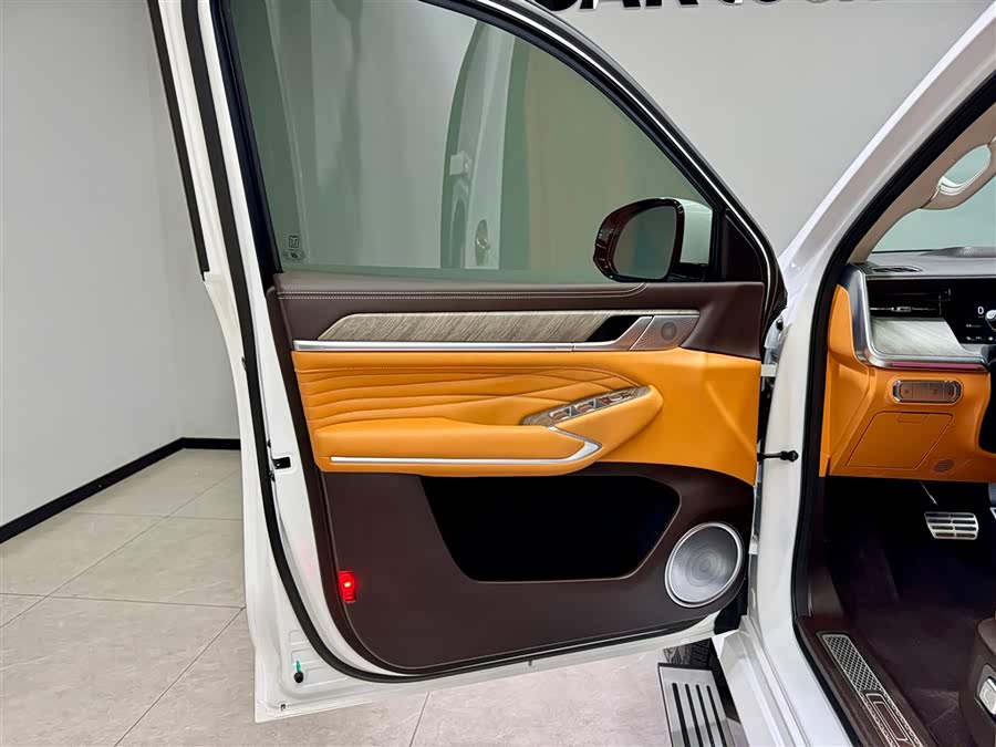 Tank 500 New Energy 2025 car image #14