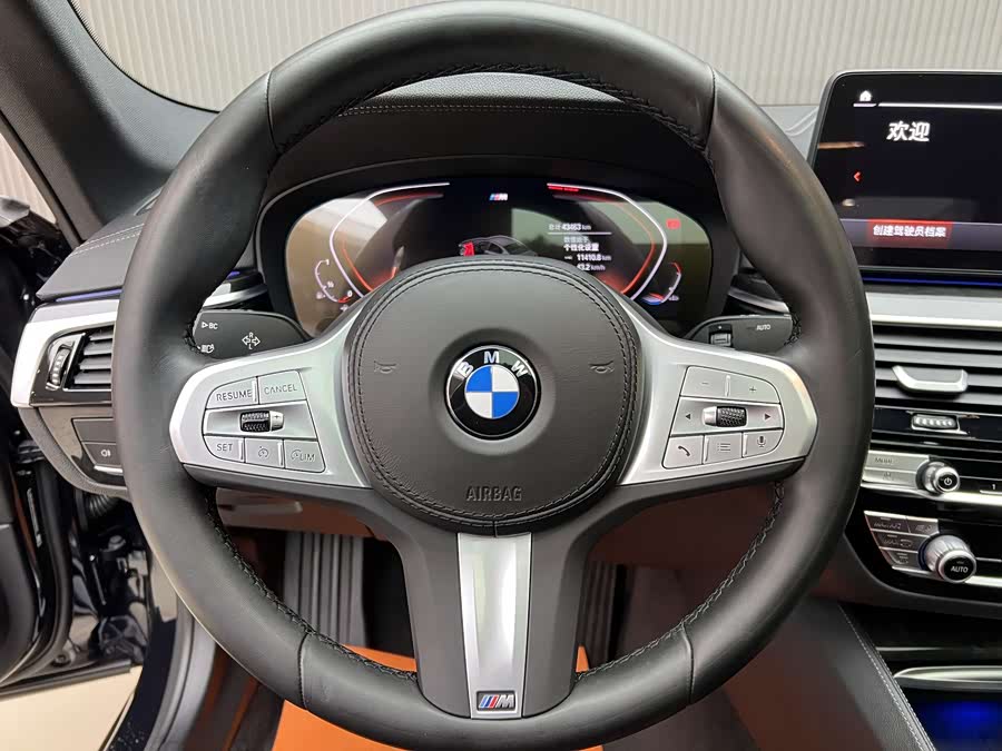 BMW 5 Series 2022 car image #14
