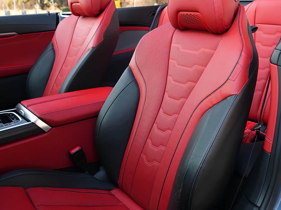 BMW 8 Series 2019 car image #14