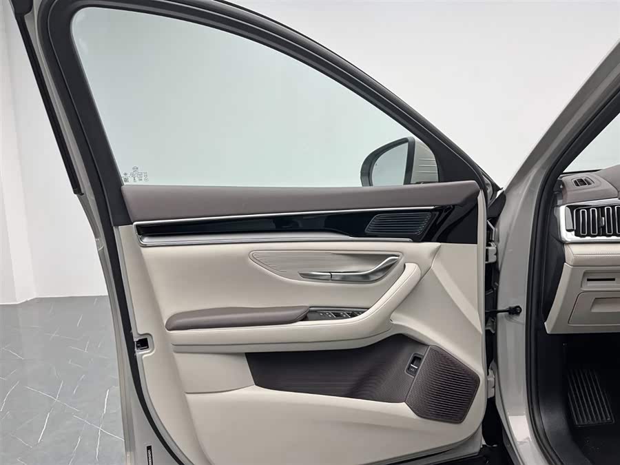 BYD Song Plus New Energy 2025 imagem de carro #14