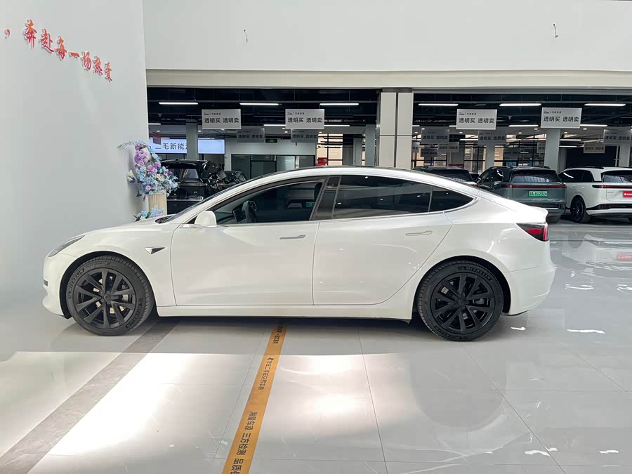 Tesla Model 3 2020 #14 Tesla Model 3 2020 car image #14