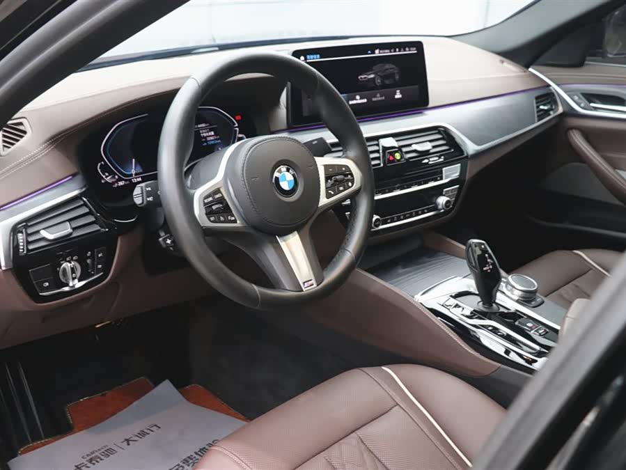 BMW 5 Series New Energy 2021 car image #14