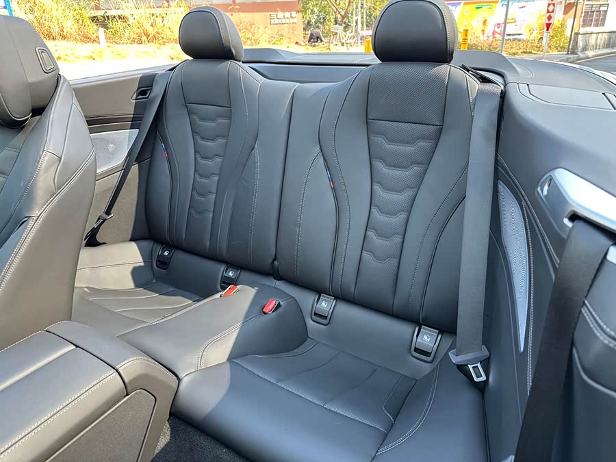 BMW 8 Series 2020 #14 BMW 8 Series 2020 car image #14