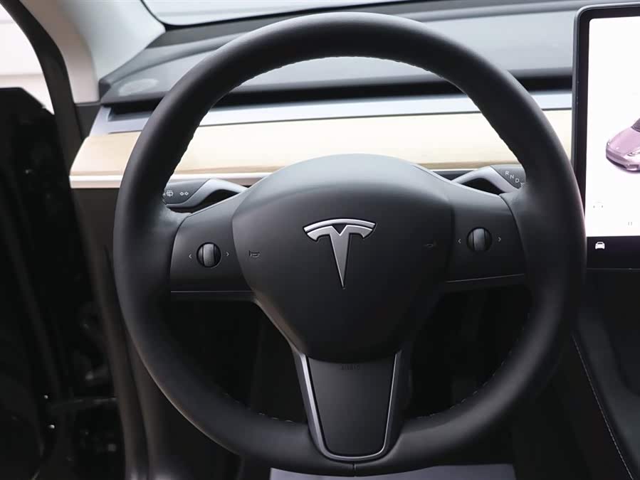 Tesla Model Y 2021 car image #14