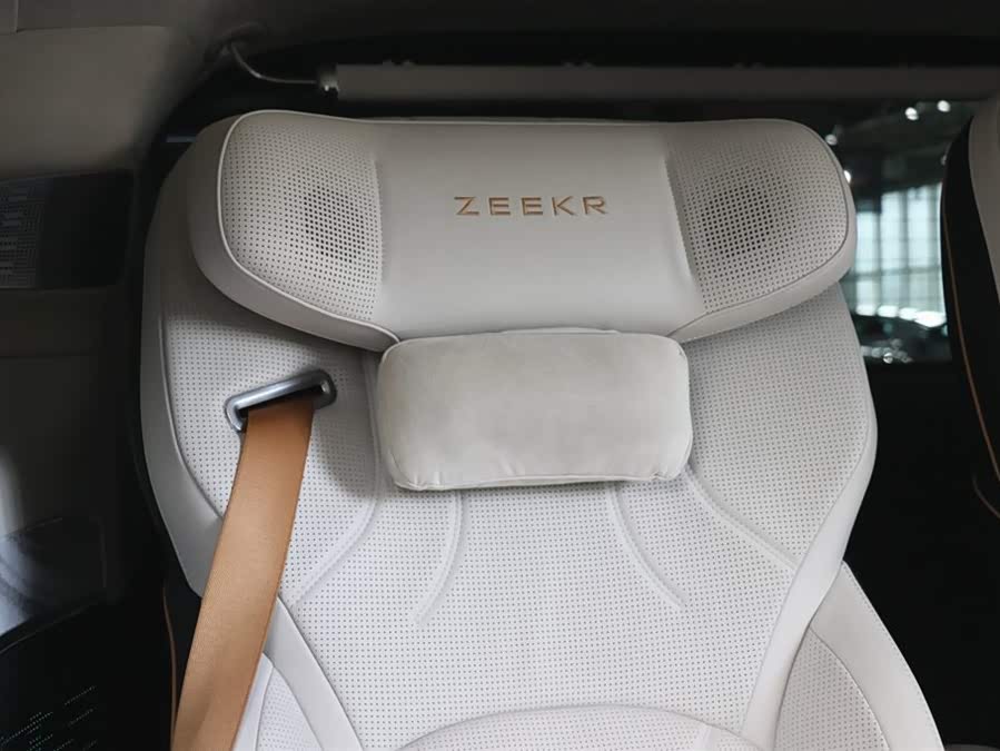 极氪 极氪009 2024 汽车图片 #14