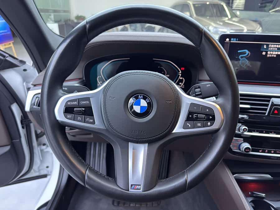 BMW 5 Series New Energy 2020 car image #14