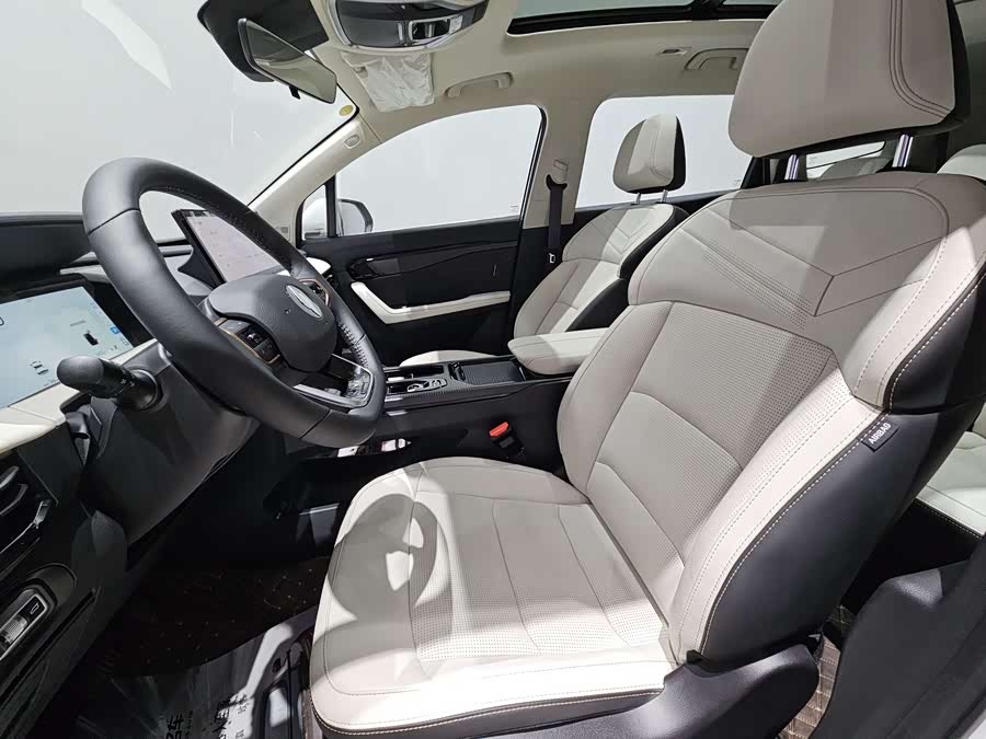 睿蓝汽车 睿蓝9 2024 汽车图片 #14