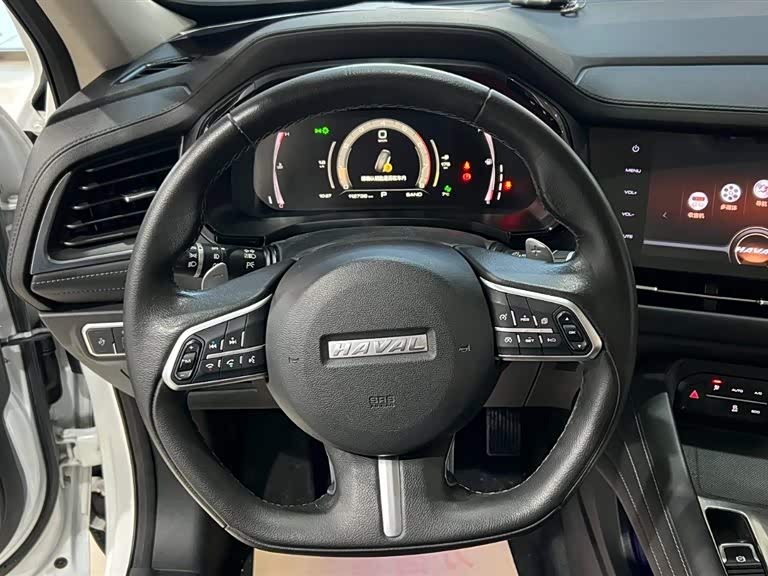 Haval F7 2019 car image #14