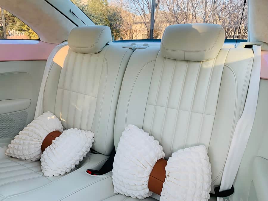 Volkswagen Beetle 2016 изображение автомобиля #14