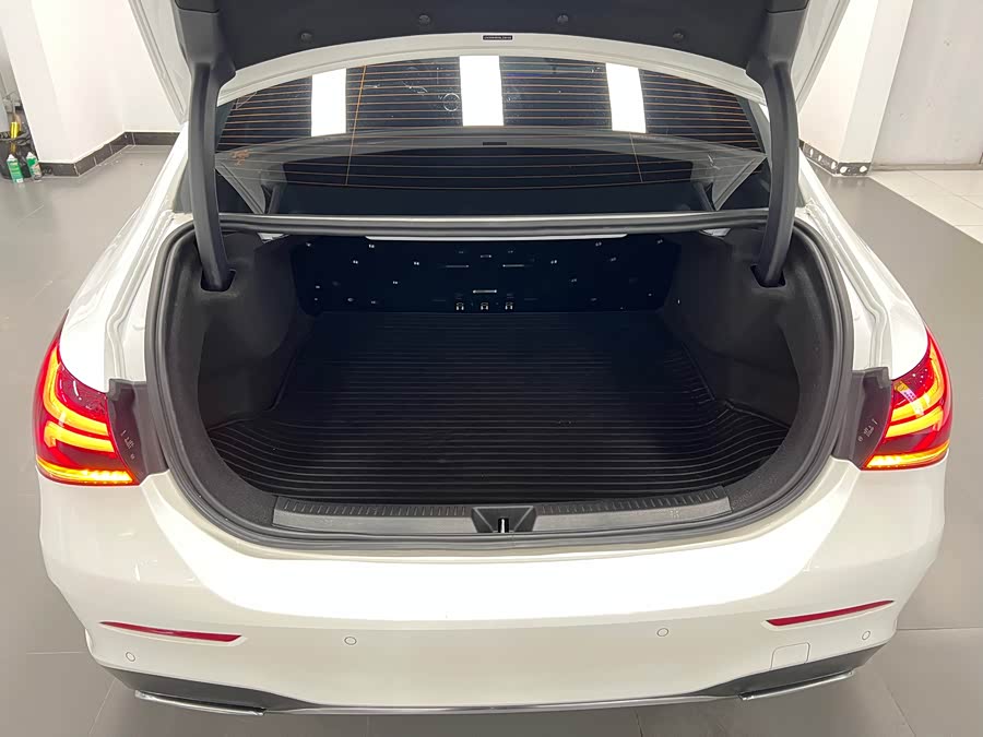 Mercedes-Benz A Class 2022 car image #14