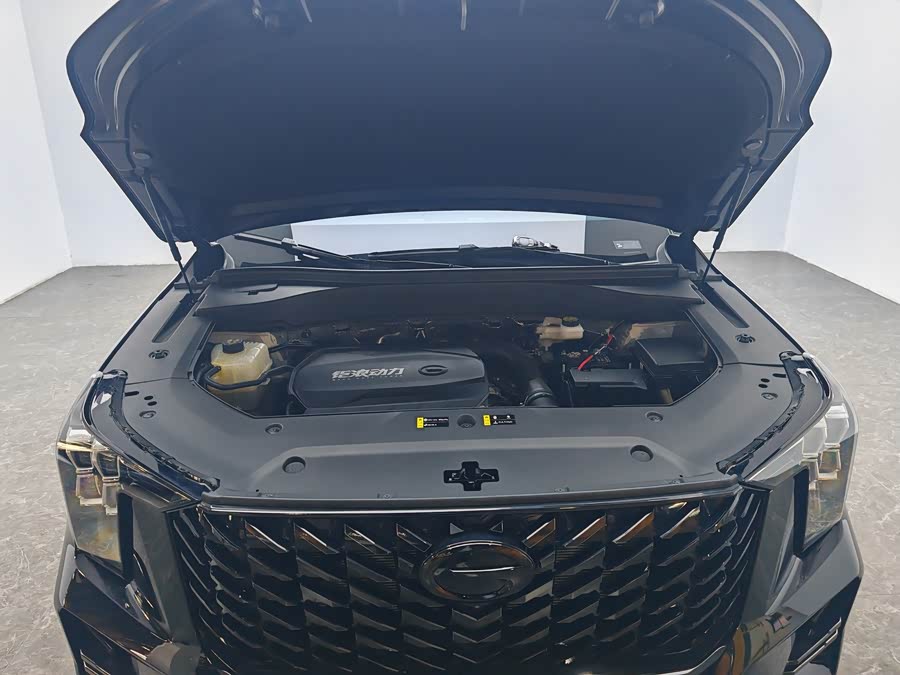 GAC Trumpchi GS8 2025 car image #14