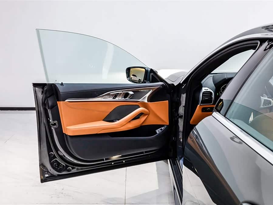 BMW 8 Series 2023 immagine di auto #14