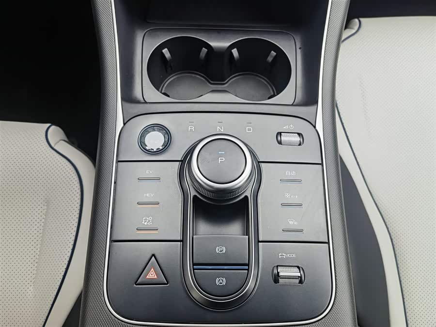 BYD Destroyer 05 2023 car image #14
