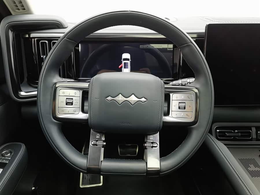 FangChengBao Leopard 5 2024 car image #14
