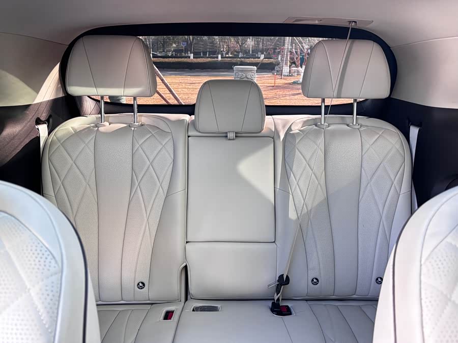 腾势 腾势D9 2024 汽车图片 #14