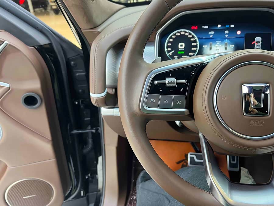 Tank 700 New Energy 2024 car image #14