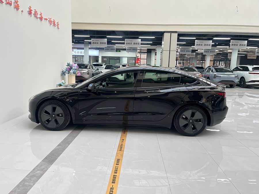 Tesla Model 3 2021 car image #14