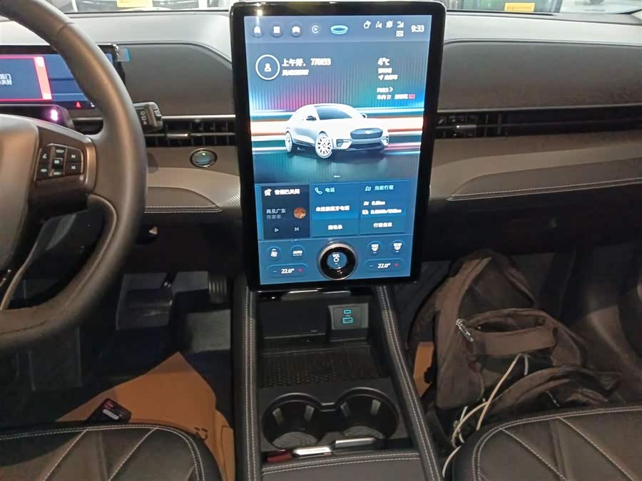 Ford Mustang Mach-E 2022 car image #14