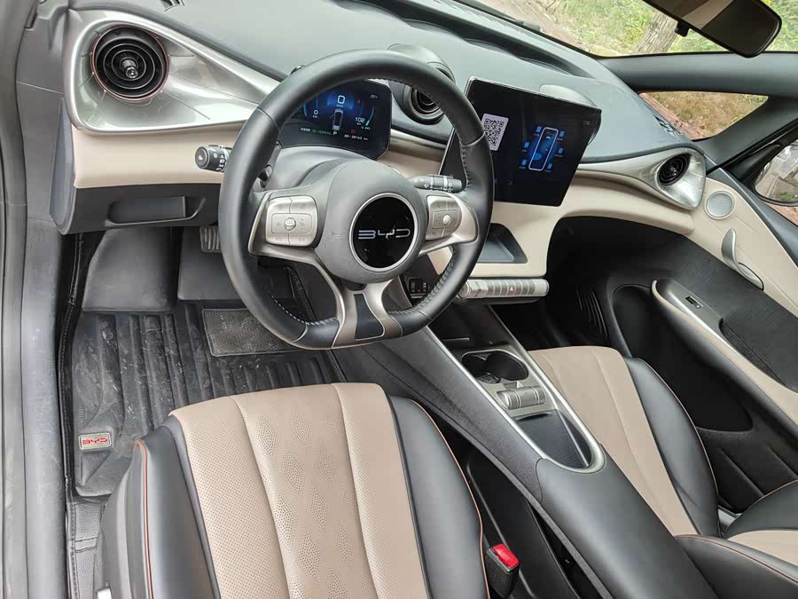 BYD Dolphin 2023 imagem de carro #14