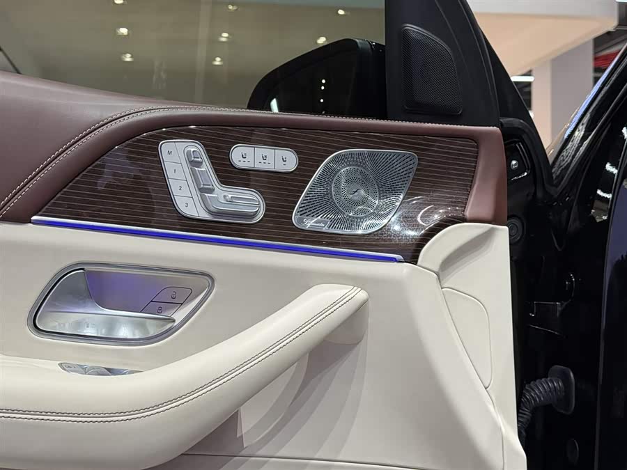 Mercedes-Benz Maybach GLS 2021 car image #14