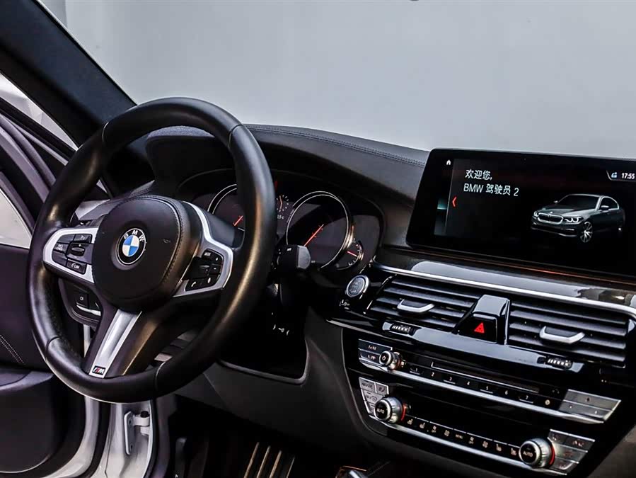 BMW 5 Series 2019 car image #14