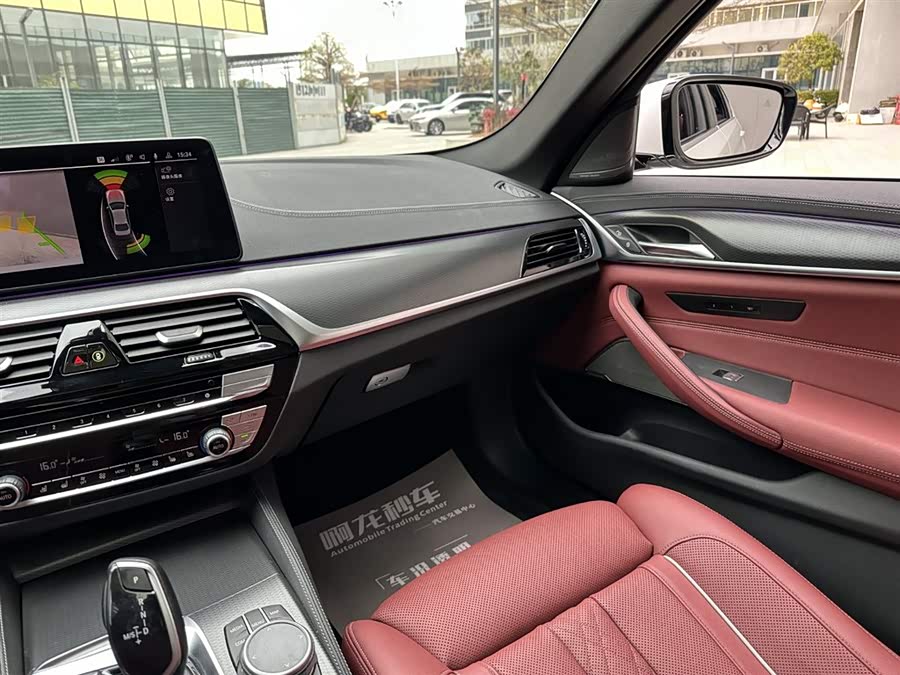 BMW 5 Series New Energy 2021 car image #14