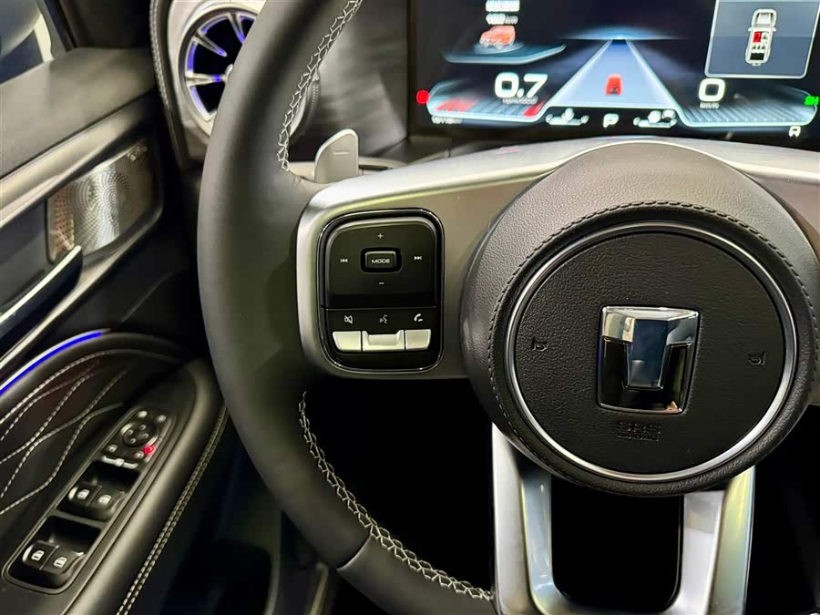 Tank 300 2024 car image #14