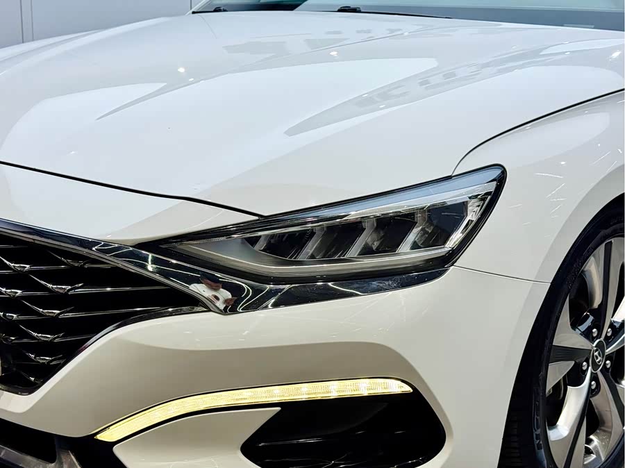 Hyundai Lafesta 2021 immagine di auto #14