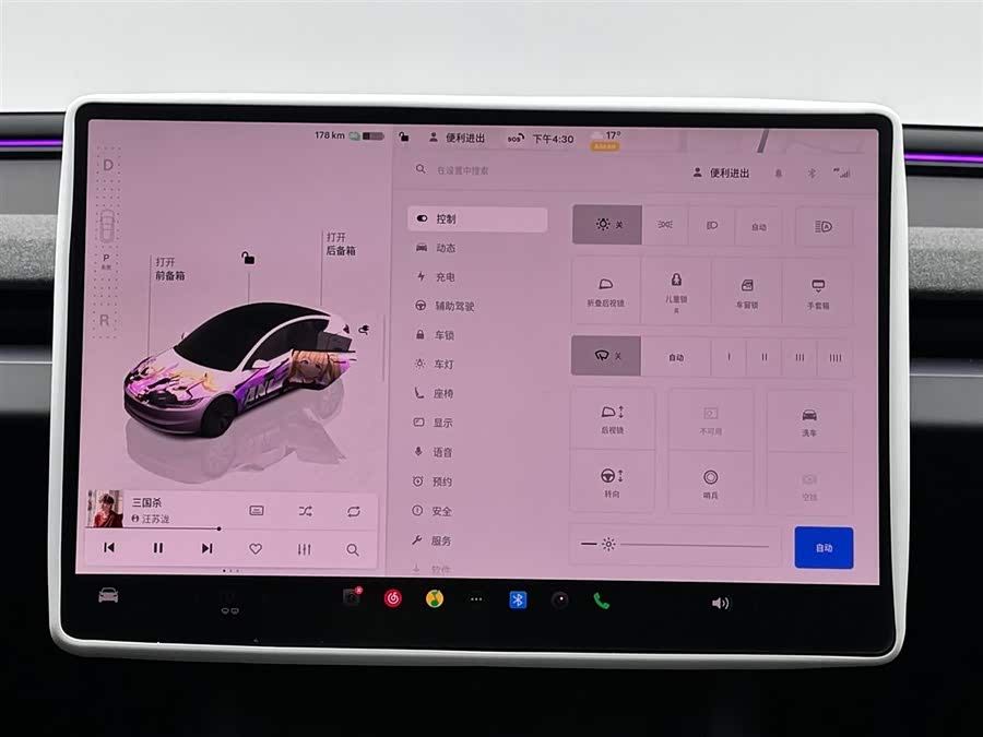 Tesla Model 3 2020 car image #14