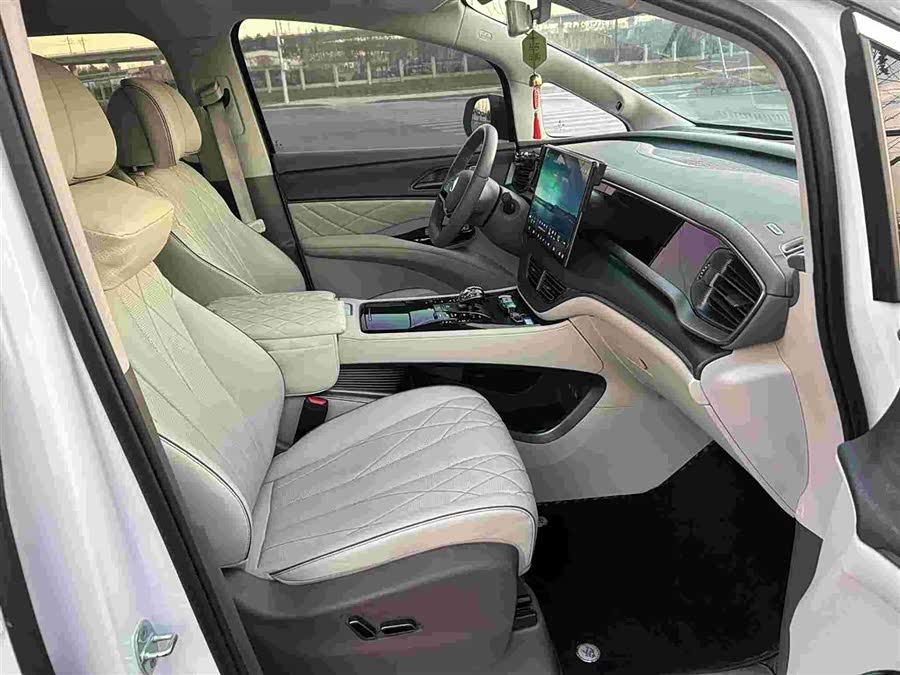 Denza D9 2023 immagine di auto #14