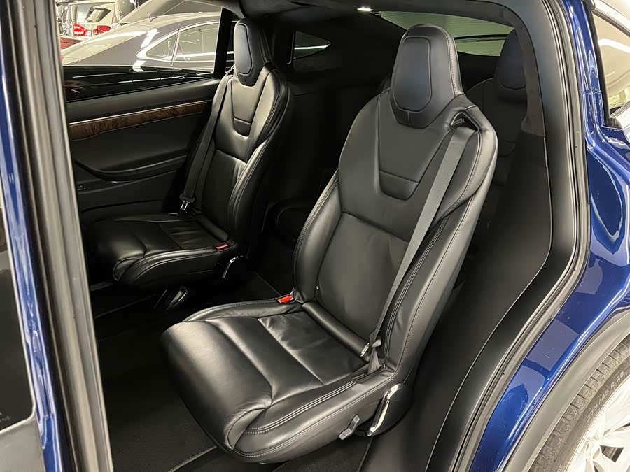 Tesla Model X 2017 car image #14
