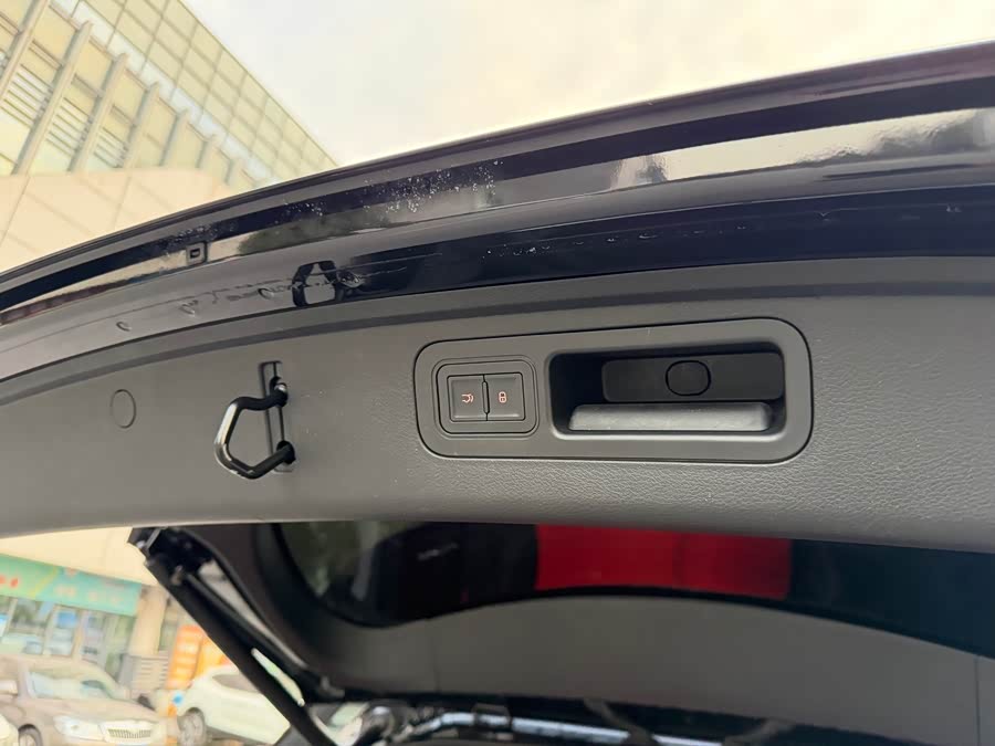 Denza X 2021 car image #14