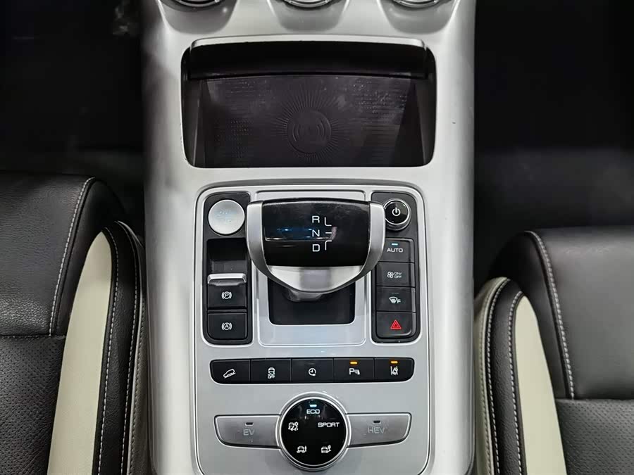 Denza X 2020 imagem de carro #14