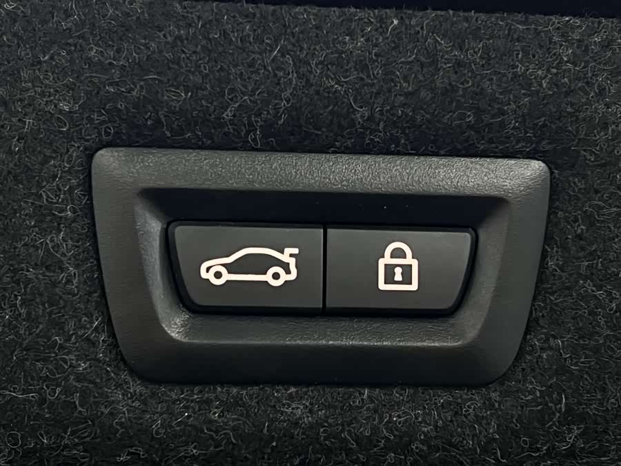 BMW 5 Series New Energy 2021 car image #14