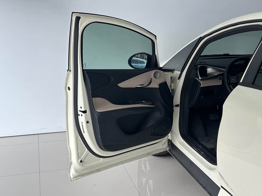 BYD Dolphin 2024 immagine di auto #14