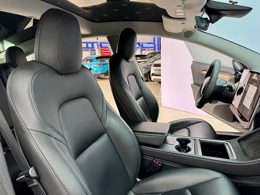 Tesla Model 3 2021 #14 Tesla Model 3 2021 car image #14
