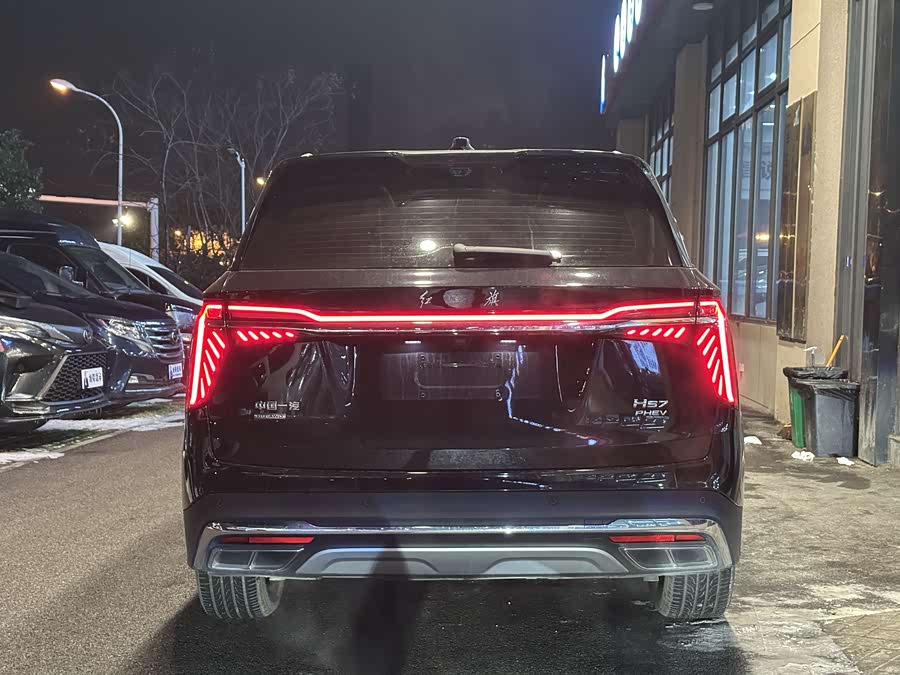 HongQi HS7 2024 car image #14
