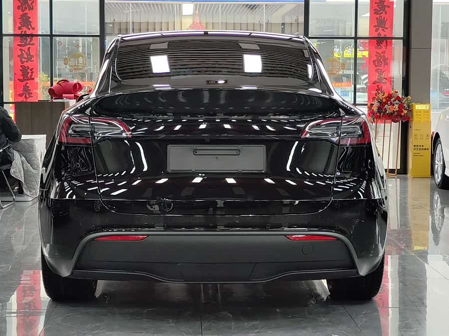 Tesla Model Y 2021 car image #14
