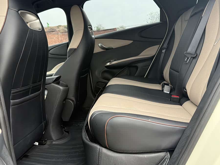 BYD Dolphin 2023 immagine di auto #14