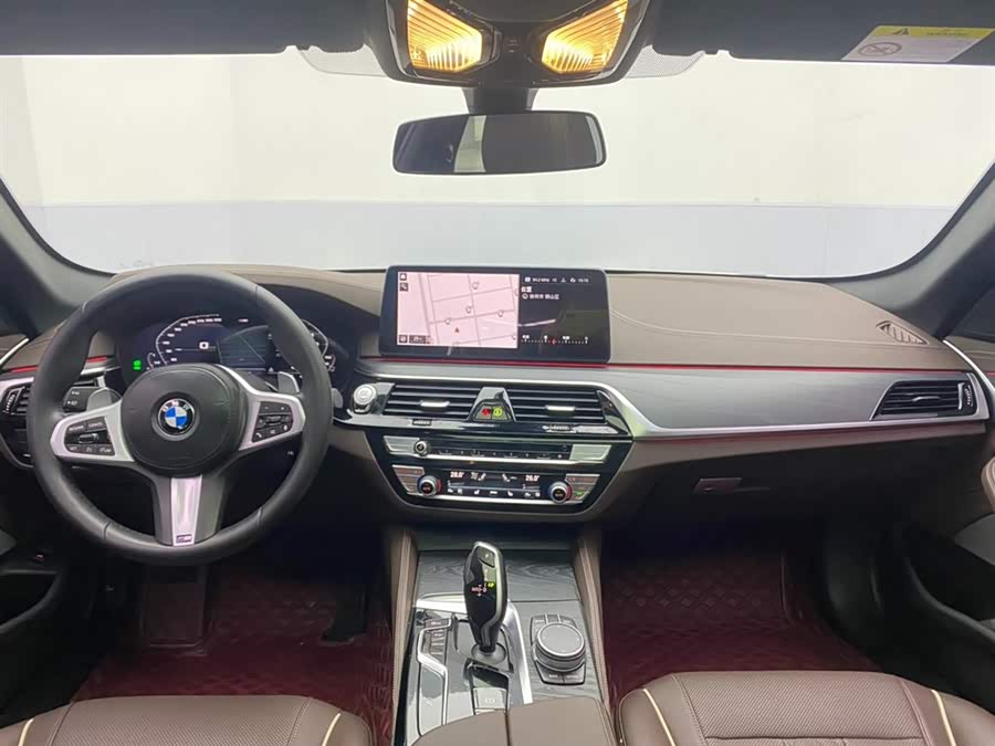 BMW 5 Series 2021 car image #14