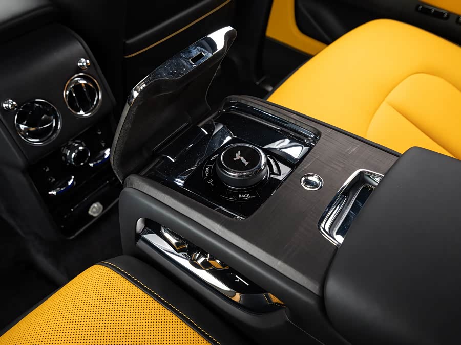 劳斯莱斯 库里南 2021 汽车图片 #14