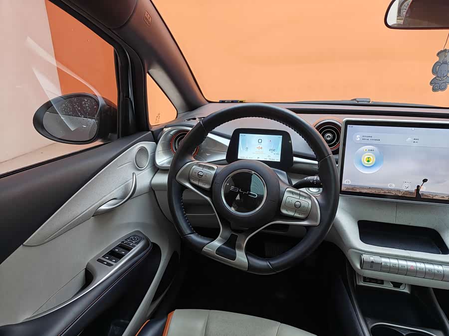 BYD Dolphin 2022 car image #14