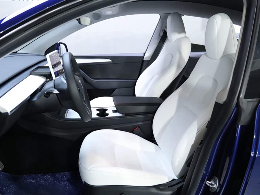 Tesla Model Y 2023 car image #14