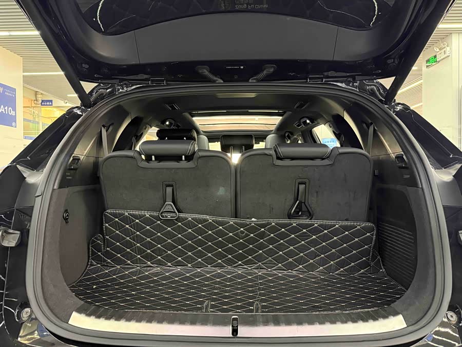 Denza X 2020 car image #14